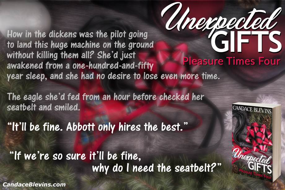 a-unexpected gifts teaser plane seatbelt